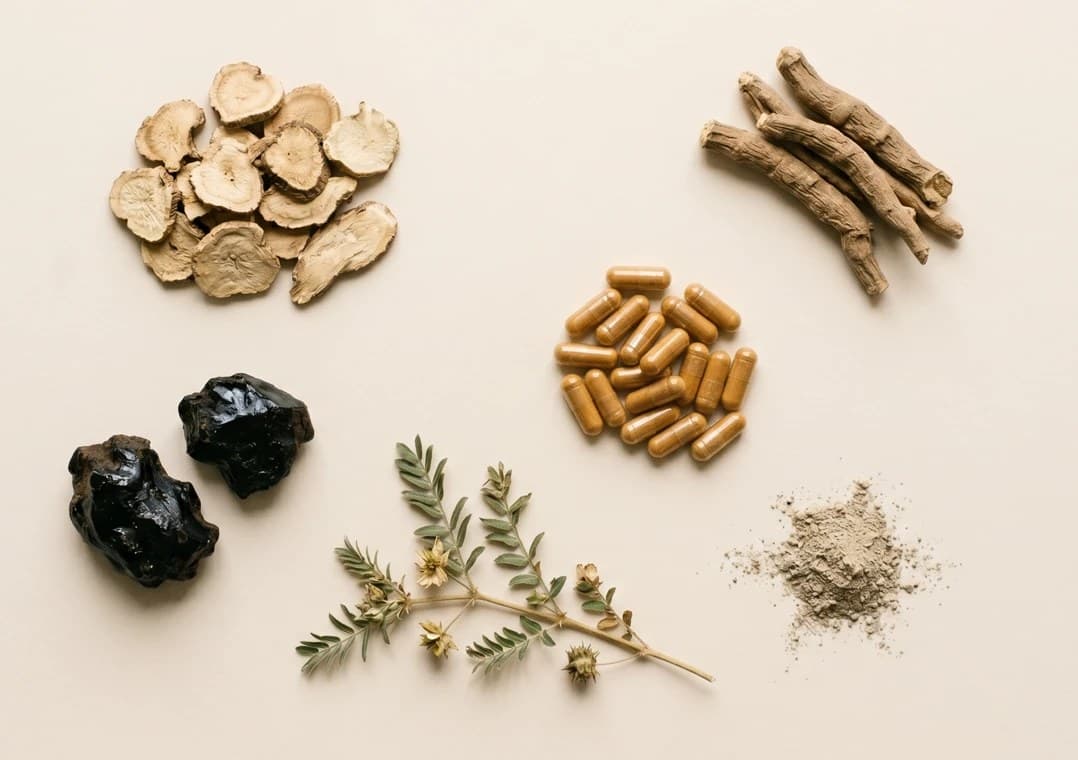 Les neuf actifs de GOL : maca, ashwagandha, shilajit, tribulus, gélules et poudre minérale